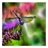 Dragonfly in groen en blauw realistische schilderi poster (Voorkant)