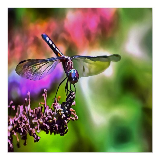 Dragonfly in groen en blauw realistische schilderi poster (Voorkant)