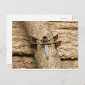 Dragonfly in rust briefkaart (Voorkant / Achterkant)