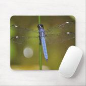 Dragonfly in rust op een mousepad muismat (Met muis)