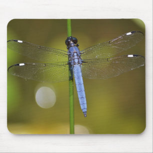 Dragonfly in rust op een mousepad muismat