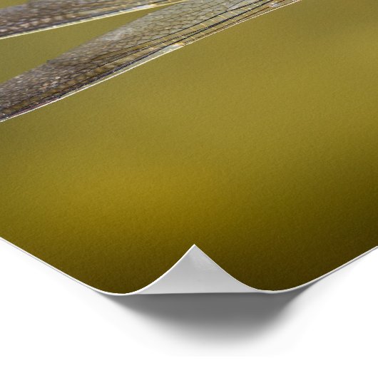 Dragonfly in rust poster (Hoek)