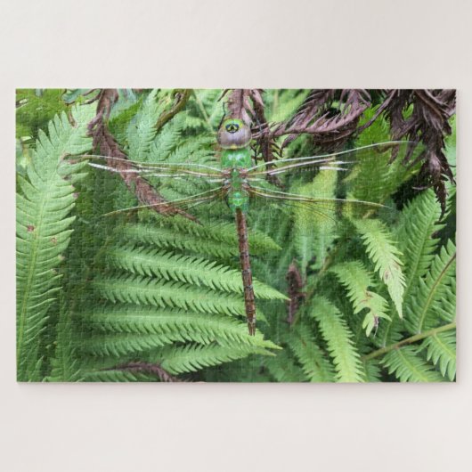 Dragonfly in tuin moeilijk 1014-stuk puzzel legpuzzel (Horizontaal)