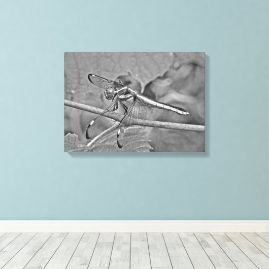 Dragonfly in zwart-wit canvas afdruk (Insitu (Houten vloer))