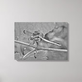 Dragonfly in zwart-wit canvas afdruk (Voorkant)
