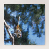 Dragonfly Insect Natuur Macro Foto Legpuzzel (Horizontaal)