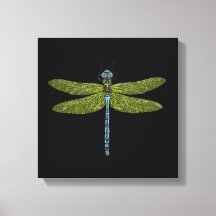 Dragonfly-insect sluit levendige kleuren