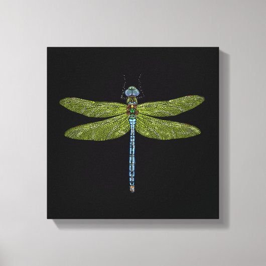 Dragonfly-insect sluit levendige kleuren canvas afdruk (Voorkant)