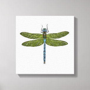 Dragonfly-insect sluit levendige kleuren canvas afdruk