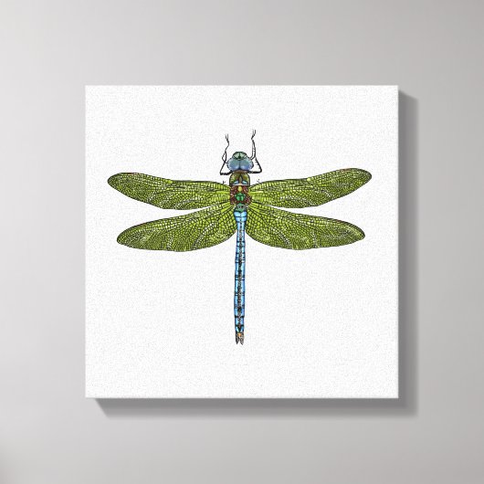 Dragonfly-insect sluit levendige kleuren canvas afdruk (Voorkant)