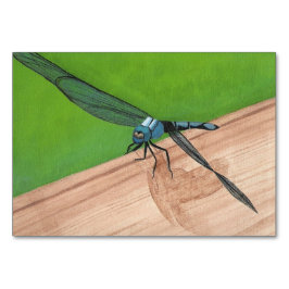 Dragonfly Insecte Reading Flashcards Kaart