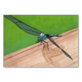 Dragonfly Insecte Reading Flashcards Kaart (Voorkant)