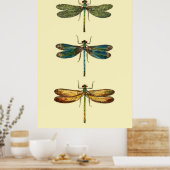 Dragonfly Insects Collectie Poster (Keuken)