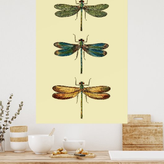 Dragonfly Insects Collectie Poster (Keuken)
