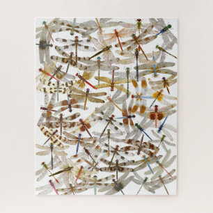 Dragonfly Jigzaag Puzzle Legpuzzel
