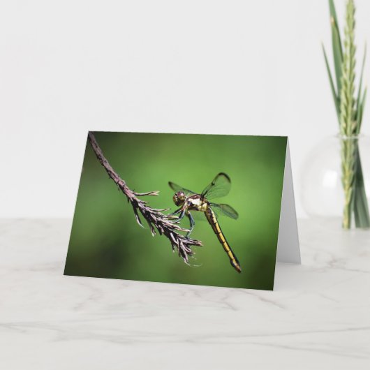 Dragonfly, kaart (Voorkant)
