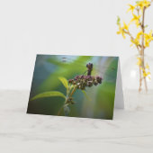 Dragonfly, kaart (Gele Bloem)