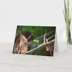 Dragonfly, kaart