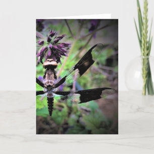 Dragonfly, kaart