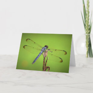 Dragonfly, kaart