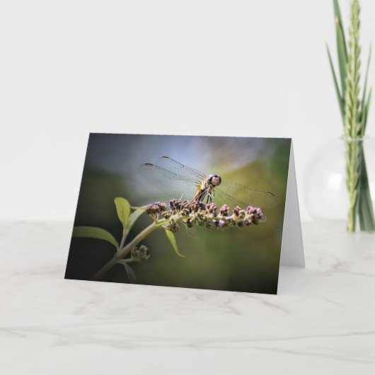 Dragonfly, kaart (Voorkant)