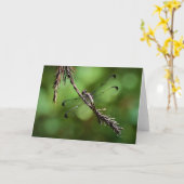 Dragonfly, kaart (Gele Bloem)