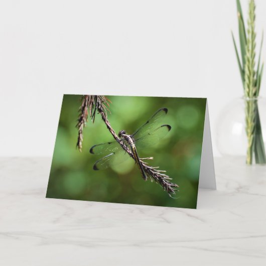 Dragonfly, kaart (Voorkant)