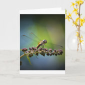 Dragonfly, kaart (Gele Bloem)
