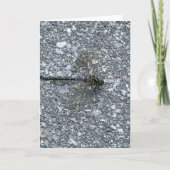 Dragonfly Kaart (Voorkant)