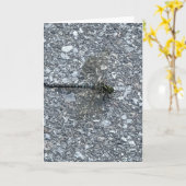 Dragonfly Kaart (Gele Bloem)