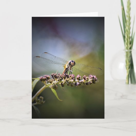 Dragonfly, kaart (Voorkant)