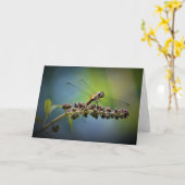 Dragonfly, kaart (Gele Bloem)
