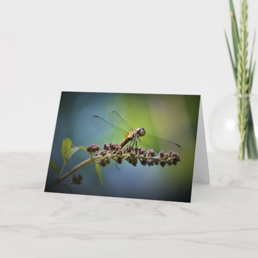 Dragonfly, kaart (Voorkant)