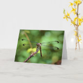 Dragonfly, kaart (Gele Bloem)