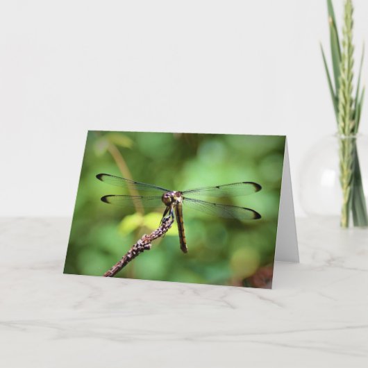 Dragonfly, kaart (Voorkant)