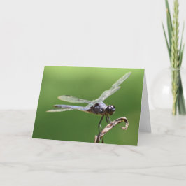 Dragonfly, kaart