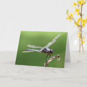 Dragonfly, kaart (Gele Bloem)