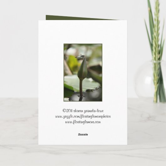 Dragonfly-Kaart Kaart (Achterkant)