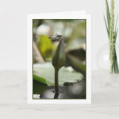 Dragonfly-Kaart Kaart (Voorkant)