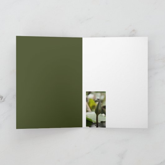 Dragonfly-Kaart Kaart (Binnen)