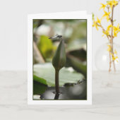 Dragonfly-Kaart Kaart (Gele Bloem)