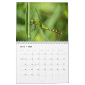 Dragonfly-kalender 2016 door Steve Borichevsky Kalender (Mar 2026)