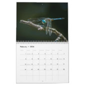 Dragonfly-kalender 2016 door Steve Borichevsky Kalender (Feb 2026)