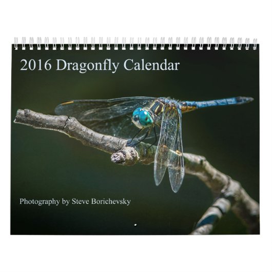 Dragonfly-kalender 2016 door Steve Borichevsky Kalender (Hoes)