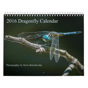 Dragonfly-kalender 2016 door Steve Borichevsky Kalender