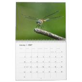 Dragonfly-kalender 2016 door Steve Borichevsky Kalender (Jan 2027)