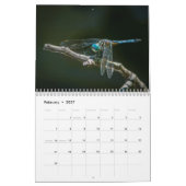 Dragonfly-kalender 2016 door Steve Borichevsky Kalender (Feb 2027)