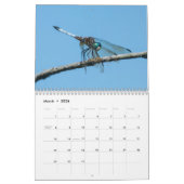Dragonfly-kalender 2017 kalender (Mar 2026)