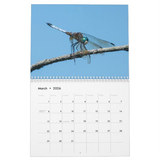 Dragonfly-kalender 2017 kalender (Mar 2026)