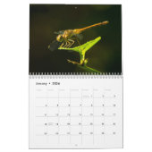 Dragonfly-kalender 2017 kalender (Jan 2026)